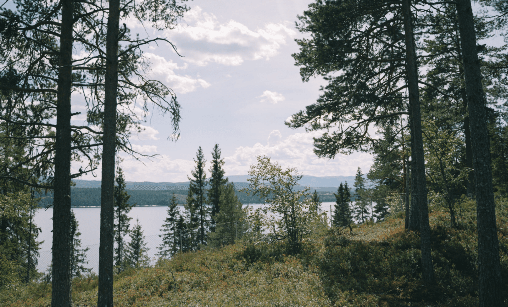 Natur ved Snåsavatnet